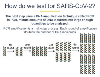 How do we test for SARS-CoV-2?
The next step uses a DNA amplification technique called PCR.
In PCR, minute amounts of DNA is turned into large enough
quantities to be analyzed.
PCR amplification is a multi-step process. Each round of amplification
doubles the number of DNA molecules
1st
round
2nd
round
3rd
round
4th
round
 