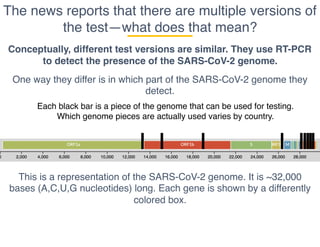 The news reports that there are multiple versions of
the test—what does that mean?
Conceptually, different test versions are similar. They use RT-PCR
to detect the presence of the SARS-CoV-2 genome.
One way they differ is in which part of the SARS-CoV-2 genome they
detect.
This is a representation of the SARS-CoV-2 genome. It is ~32,000
bases (A,C,U,G nucleotides) long. Each gene is shown by a differently
colored box.
Each black bar is a piece of the genome that can be used for testing.
Which genome pieces are actually used varies by country.
 