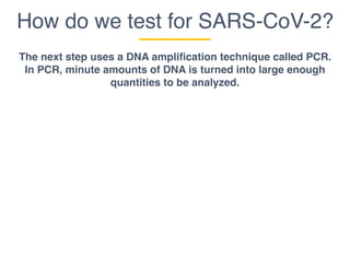 How do we test for SARS-CoV-2?
The next step uses a DNA amplification technique called PCR.
In PCR, minute amounts of DNA is turned into large enough
quantities to be analyzed.
 