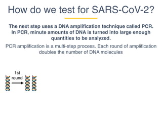 How do we test for SARS-CoV-2?
The next step uses a DNA amplification technique called PCR.
In PCR, minute amounts of DNA is turned into large enough
quantities to be analyzed.
PCR amplification is a multi-step process. Each round of amplification
doubles the number of DNA molecules
1st
round
 