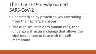 The COVID-19 newly named
SARS-CoV-2
▪ Characterized by protein spikes protruding
from their spherical shapes.
▪ These spikes latch onto human cells, then
undergo a structural change that allows the
viral membrane to fuse with the cell
membrane.
 