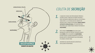 COLETA DE SECREÇÃO
SOMENTE EM ADULTOS
NASOFARINGE_
_NASOFARINGE_
ASSOALHO NASAL E PALATO_
DORSO NASAL_
NARINA INFERIOR_
O SWAB DEVE ATINGIR UMA PROFUNDIDADE PRÓXIMA À
DISTÂNCIA ENTRE A ABERTURA DA NARINA ANTERIOR E
PARTE ANTERIOR DA ABERTURA DA ORELHA.ESTA DISTÂNCIA
VARIA ENTRE 8 A 10 CM PARA ADULTOS.INSERIR COM
ROTAÇÃO SUAVE O SWAB EM UMA NARINA,PARALELAMENTE
AO PALATO E ASSOALHO NASAL ATÉ ENCONTRAR UMA
RESISTÊNCIA QUE CORRESPONDE À PAREDE POSTERIOR DA
NASOFARINGE.
APÓS ATINGIR A NASOFARINGE,REALIZAR ALGUNS
MOVIMENTOS SUAVES DE FRICÇÃO E ROTAÇÃO.DEIXAR O
SWAB IMÓVEL POR 10 SEGUNDOS NA NASOFARINGE.
RETIRAR DEVAGAR,FAZENDO MOVIMENTOS SUAVES DE
ROTAÇÃO.REPITA O PROCEDIMENTO NA OUTRA NARINA
UTILIZANDO O MESMO SWAB.
INFORMAR NO CADASTRO ONLINE DA AMOSTRA AS
DIFICULDADES ENCONTRADAS.
1.
2.
3.
FONTE:
UFMG
 
