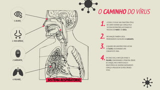 1.VIAS AÉREAS_
2.GARGANTA_
3.OLHOS_
4.PULMÃO_
O CAMINHO DO VÍRUS
A COVID-19 SEGUE UMA TRAJETÓRIA TÍPICA
NO CORPO HUMANO QUE COMEÇA PELO
SISTEMA RESPIRATÓRIO,ACESSANDO AS
MUCOSAS DO NARIZ E DA BOCA.
1.
2. INFLAMAÇÃO TAMBÉM CHEGA
PRIMEIRAMENTE NA REGIÃO DA GARGANTA.
O QUADRO INFLAMATÓRIO PODE AFETAR
OS OLHOS,OCASIONANDO UMA
CONJUNTIVITE VIRAL.
3.
4.EM CINCO DIAS,A INFECÇÃO ATINGE O
PULMÃO,CONSIDERANDO O PRINCIPAL ÓRGÃO
DE CHOQUE,MAS A PARTIR DISSO A
INSUFICIÊNCIA DE OXIGÊNIO RAPIDAMENTE
COMEÇA A PREJUDICAR OUTROS ÓRGÃOS
VITAIS.
_SISTEMA RESPIRATÓRIO_
 
