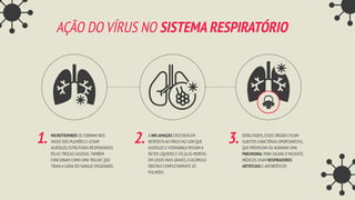 AÇÃO DO VÍRUS NO SISTEMA RESPIRATÓRIO
MICROTROMBOS SE FORMAM NOS
VASOS DOS PULMÕES E LESAM
ALVÉOLOS,ESTRUTURAS RESPONSÁVEIS
PELAS TROCAS GASOSAS.TAMBÉM
FUNCIONAM COMO UMA“ROLHA”,QUE
TRAVA A SAÍDA DO SANGUE OXIGENADO.
1. A INFLAMAÇÃO EXCESSIVA EM
RESPOSTA AO VÍRUS FAZ COM QUE
ALVÉOLOS E VIZINHANÇA PASSAM A
RETER LÍQUIDOS E CÉLULAS MORTAS.
EM CASOS MAIS GRAVES,O ACÚMULO
OBSTRUI COMPLETAMENTE OS
PULMÕES.
2. DEBILITADOS,ESSES ÓRGÃOS FICAM
SUJEITOS A BACTÉRIAS OPORTUNISTAS,
QUE PROVOCAM OU AGRAVAM UMA
PNEUMONIA.PARA SALVAR O PACIENTE,
MÉDICOS USAM RESPIRADORES
ARTIFICIAIS E ANTIBIÓTICOS
3.
 