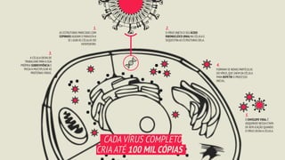 1.
AS ESTRUTURAS PARECIDAS COM
ESPINHOS AJUDAM O PARASITA A
SE LIGAR ÀS CÉLULAS DO
HOSPEDEIRO.
2.
O VÍRUS INJETA O SEU ÁCIDO
RIBONUCLÉICO (RNA) NA CÉLULA E
SEQUESTRA AS ESTRUTURAS DELA.
3.
A CÉLULA DEIXA DE
TRABALHAR PARA A SUA
PRÓPRIA SOBREVIVÊNCIA E
PASSA A MULTIPLICAR AS
PROTEÍNAS VIRAIS.
4.
FORMAM-SE NOVAS PARTÍCULAS
DO VÍRUS,QUE SAEM DA CÉLULA
PARA REPETIR O PROCESSO
INICIAL.
5.
O ENVELOPE VIRAL É
ADQUIRIDO NESSA ETAPA
DE REPLICAÇÃO QUANDO
O VÍRUS DEIXA A CÉLULA.
_CADA VÍRUS COMPLETO
CRIA ATÉ 100 MILCÓPIAS_
 