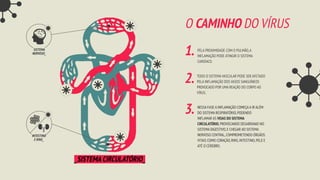 O CAMINHO DO VÍRUS
PELA PROXIMIDADE COM O PULMÃO,A
INFLAMAÇÃO PODE ATINGIR O SISTEMA
CARDÍACO.
1.
2. TODO O SISTEMA VASCULAR PODE SER AFETADO
PELA INFLAMAÇÃO DOS VASOS SANGUÍNEOS
PROVOCADO POR UMA REAÇÃO DO CORPO AO
VÍRUS.
_SISTEMA CIRCULATÓRIO_
NESSA FASE A INFLAMAÇÃO COMEÇA A IR ALÉM
DO SISTEMA RESPIRATÓRIO,PODENDO
INFLAMAR AS VEIAS DO SISTEMA
CIRCULATÓRIO,PROVOCANDO DESARRANJO NO
SISTEMA DIGESTIVO,E CHEGAR AO SISTEMA
NERVOSO CENTRAL,COMPROMETENDO ÓRGÃOS
VITAIS COMO CORAÇÃO,RINS,INTESTINO,PELE E
ATÉ O CÉREBRO.
3.
INTESTINO
E RINS_
SISTEMA
NERVOSO_
 