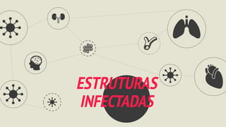ESTRUTURAS
INFECTADAS
 