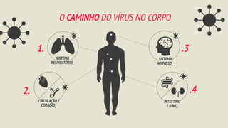 O CAMINHO DO VÍRUS NO CORPO
SISTEMA
RESPIRATÓRIO_
SISTEMA
NERVOSO_
CIRCULAÇÃO E
CORAÇÃO_
INTESTINO
E RINS_
1. .3
2. .4
 
