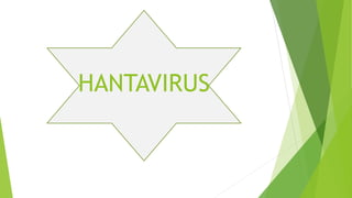 HANTAVIRUS
 