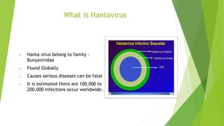 What is Hantavirus
 Hanta virus belong to family -
Bunyaviridae
 Found Globally
 Causes serious diseases can be fatal
 It is estimated there are 100,000 to
200,000 infections occur worldwide.
 