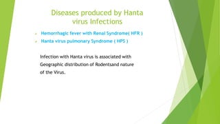 Diseases produced by Hanta
virus Infections
 Hemorrhagic fever with Renal Syndrome( HFR )
 Hanta virus pulmonary Syndrome ( HPS )
Infection with Hanta virus is associated with
Geographic distribution of Rodentsand nature
of the Virus.
 