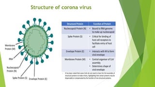 Structure of corona virus
 