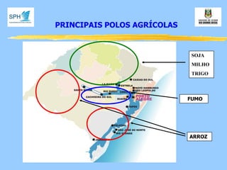 PRINCIPAIS POLOS AGRÍCOLAS 
SOJA 
MILHO 
TRIGO 
FUMO 
ARROZ  