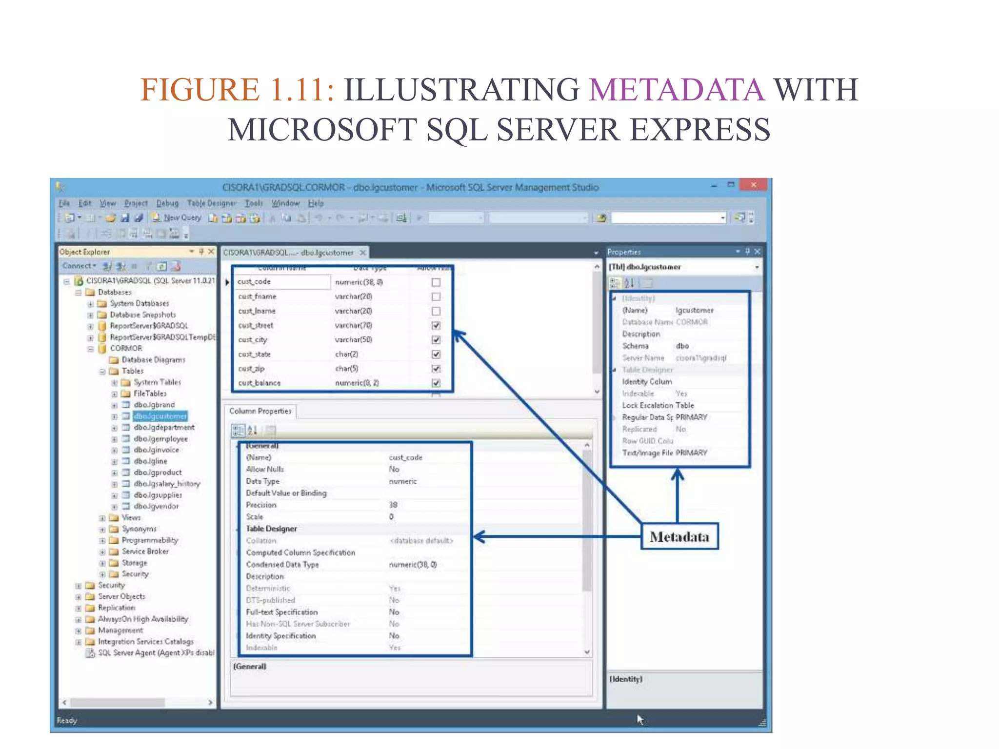 FIGURE 1.11: ILLUSTRATING METADATA WITH
MICROSOFT SQL SERVER EXPRESS
 