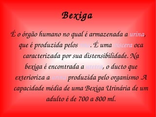 Bexiga   É o órgão humano no qual é armazenada a  urina , que é produzida pelos  rins . É uma  víscera  oca caracterizada por sua distensibilidade. Na bexiga é encontrada a  uretra , o ducto que exterioriza a  urina  produzida pelo organismo .A capacidade média de uma Bexiga Urinária de um adulto é de 700 a 800 ml. 