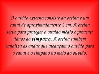 O ouvido externo consiste da orelha e um canal de aproximadamente 2 cm. A orelha serve para proteger o ouvido médio e prevenir danos ao  tímpano . A orelha também canaliza as ondas que alcançam o ouvido para o canal e o tímpano no meio do ouvido. 