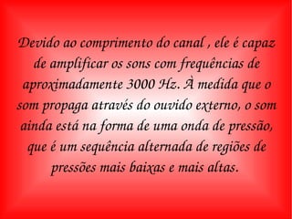 Devido ao comprimento do canal , ele é capaz de amplificar os sons com frequências de aproximadamente 3000 Hz. À medida que o som propaga através do ouvido externo, o som ainda está na forma de uma onda de pressão, que é um sequência alternada de regiões de pressões mais baixas e mais altas.  