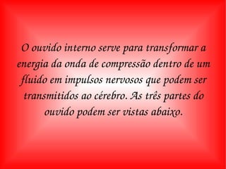 O ouvido interno serve para transformar a energia da onda de compressão dentro de um fluido em impulsos nervosos que podem ser transmitidos ao cérebro. As três partes do ouvido podem ser vistas abaixo. 