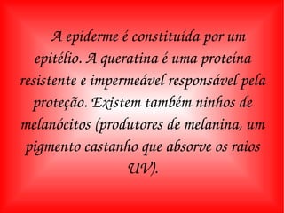 A epiderme é constituída por um epitélio. A queratina é uma proteína resistente e impermeável responsável pela proteção. Existem também ninhos de melanócitos (produtores de melanina, um pigmento castanho que absorve os raios UV). 