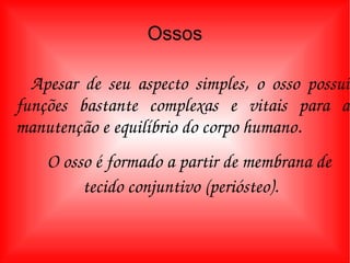 Ossos Apesar de seu aspecto simples, o osso possui funções bastante complexas e vitais para a manutenção e equilíbrio do corpo humano.  O osso é formado a partir de membrana de tecido conjuntivo (periósteo).  