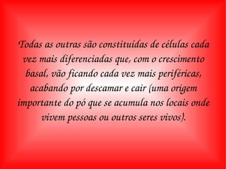 Todas as outras são constituídas de células cada vez mais diferenciadas que, com o crescimento basal, vão ficando cada vez mais periféricas, acabando por descamar e cair (uma origem importante do pó que se acumula nos locais onde vivem pessoas ou outros seres vivos). 