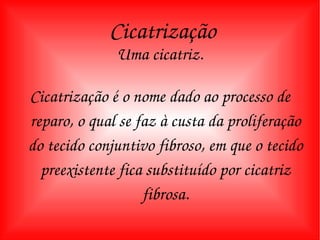 Uma cicatriz. Cicatrização é o nome dado ao processo de reparo, o qual se faz à custa da proliferação do tecido conjuntivo fibroso, em que o tecido preexistente fica substituído por cicatriz fibrosa. Cicatrização 