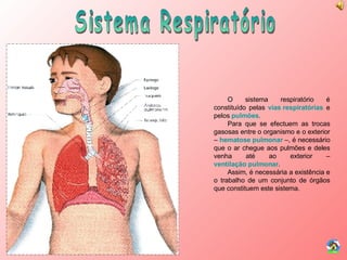 Sistema Respiratório O sistema respiratório é constituído pelas  vias respiratórias  e pelos  pulmões . Para que se efectuem as trocas gasosas entre o organismo e o exterior –  hematose pulmonar  –, é necessário que o ar chegue aos pulmões e deles venha até ao exterior –  ventilação pulmonar . Assim, é necessária a existência e o trabalho de um conjunto de órgãos que constituem este sistema. 