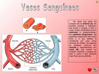 Vasos Sanguíneos Os vasos que saem do coração são as  artérias (A) , de paredes grossas e elásticas, que levam o sangue a todo o corpo. Estas subdividem-se em  arteríolas  e, posteriormente, em  capilares sanguíneos . Os capilares sanguíneos são muito finos e a sua parede é constituída por uma única camada de células. De seguida os capilares unem-se em  vénulas  e, seguidamente, em  veias (B) , que entram no coração, trazendo o sangue de todo o corpo e têm paredes mais finas que as artérias. Arteríola Artéria Capilares sanguíneos Veia Vénula 