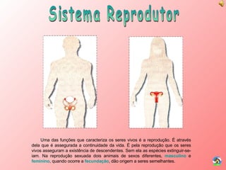 Sistema Reprodutor Uma das funções que caracteriza os seres vivos é a reprodução. É através dela que é assegurada a continuidade da vida. É pela reprodução que os seres vivos asseguram a existência de descendentes. Sem ela as espécies extinguir-se-iam. Na reprodução sexuada dois animais de sexos diferentes,  masculino  e  feminino , quando ocorre a  fecundação , dão origem a seres semelhantes. 