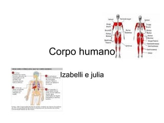 Corpo humano Izabelli e julia 