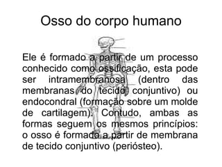 Osso do corpo humano Ele é formado a partir de um processo conhecido como ossificação, esta pode ser intramembranosa (dentro das membranas do tecido conjuntivo) ou endocondral (formação sobre um molde de cartilagem). Contudo, ambas as formas seguem os mesmos princípios: o osso é formado a partir de membrana de tecido conjuntivo (periósteo).   