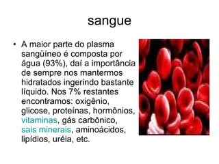 sangue A maior parte do plasma sangüíneo é composta por água (93%), daí a importância de sempre nos mantermos hidratados ingerindo bastante líquido. Nos 7% restantes encontramos: oxigênio, glicose, proteínas, hormônios,  vitaminas , gás carbônico,  sais minerais , aminoácidos, lipídios, uréia, etc.  