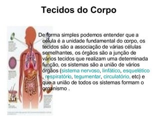 Tecidos do Corpo  De forma simples podemos entender que a célula é a unidade fundamental do corpo, os tecidos são a associação de várias células semelhantes, os órgãos são a junção de vários tecidos que realizam uma determinada função, os sistemas são a união de vários órgãos ( sistema nervoso ,  linfático ,  esquelético ,  respiratório ,  tegumentar ,  circulatório,  etc) e que a união de todos os sistemas formam o organismo . 