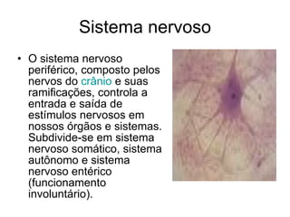 Sistema nervoso O sistema nervoso periférico, composto pelos nervos do  crânio  e suas ramificações, controla a entrada e saída de estímulos nervosos em nossos órgãos e sistemas. Subdivide-se em sistema nervoso somático, sistema autônomo e sistema nervoso entérico (funcionamento involuntário). 
