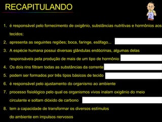 RECAPITULANDO é responsável pelo fornecimento de oxigênio, substâncias nutritivas e hormônios aos tecidos; apresenta as seguintes regiões; boca, faringe, esôfago... A espécie humana possui diversas glândulas endócrinas, algumas delas responsáveis pela produção de mais de um tipo de hormônio:  Os dois rins filtram todas as substâncias da corrente sanguínea  podem ser formados por três tipos básicos de tecido  é responsável pelo ajustamento do organismo ao ambiente  processo fisiológico pelo qual os organismos vivos inalam oxigênio do meio circulante e soltam dióxido de carbono  tem a capacidade de transformar os diversos estímulos  do ambiente em impulsos nervosos  