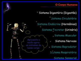 Sistema Digestório  (Digestão)    Sistema Circulatório    Sistema Endócrino  (Hormônios)    Sistema  Excretor   (Urinário)   Sistema Muscular    Sistema Nervoso    Sistema Reprodutor    Sistema Respiratório    Sistema Sensorial  (Sentidos)  O Corpo Humano Apresento a vocês agora: os sistemas do nosso corpo: 