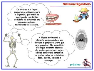 Sistema Digestório Os dentes e a língua preparam o alimento para a digestão, por meio da mastigação, os dentes reduzem os alimentos em pequenos pedaços, misturando-os à saliva. A língua movimenta o alimento empurrando-o em direção a garganta, para que seja engolido. Na superfície da língua existem dezenas de papilas gustativas, cujas células sensoriais percebem os quatro sabores primários: doce, azedo, salgado e amargo. próximo 