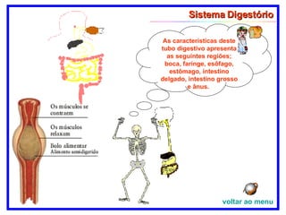 As características deste tubo digestivo apresenta as seguintes regiões; boca, faringe, esôfago, estômago, intestino delgado, intestino grosso e ânus.  Sistema Digestório voltar ao menu 