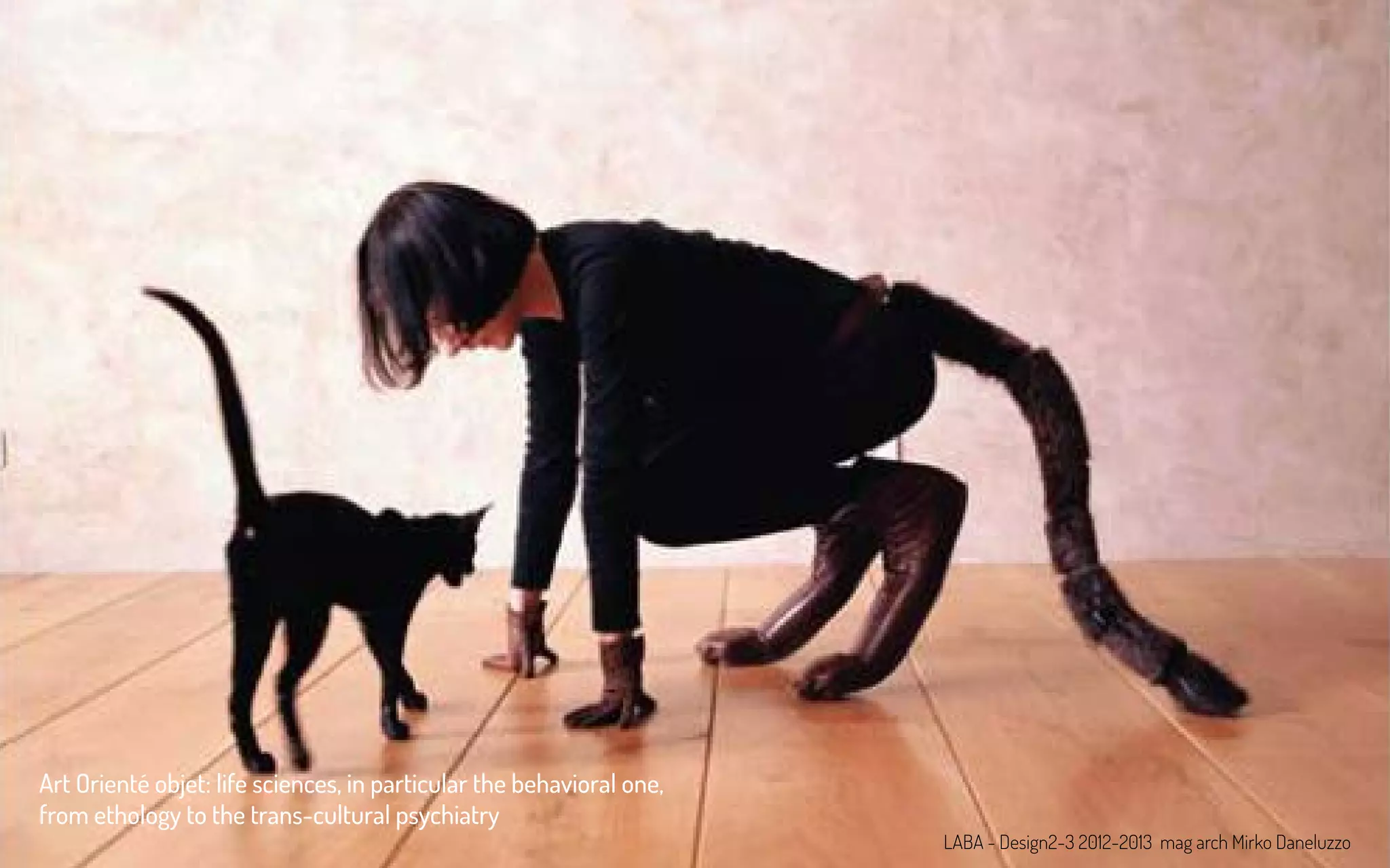 Art Orienté objet: life sciences, in particular the behavioral one,
from ethology to the trans-cultural psychiatry
LABA - Design2-3 2012-2013 mag arch Mirko Daneluzzo
 