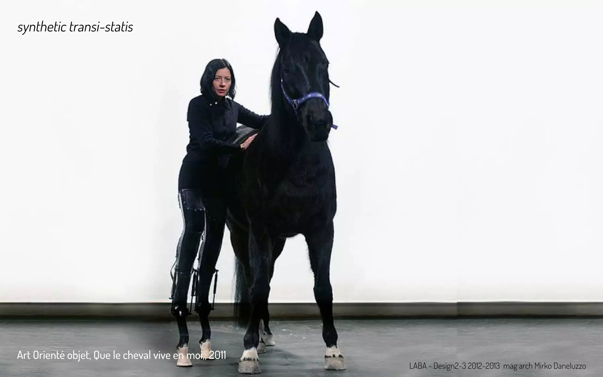 LABA - Design2-3 2012-2013 mag arch Mirko Daneluzzo
Art Orienté objet, Que le cheval vive en moi,, 2011
synthetic transi-statis
 