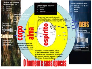 corpo alma espírito Este traço representa a morte  espíritual devido o estado de separação do espírito do homem do Espírito de Deus  Quando a pessoa aceita a Jesus O traço a barreira é tirada. Então a alma recebe a influência do espírito Do homem, que por sua vez recebe a Influência do espírito Santo A alma pervertida usa  o corpo para realizar  suas vontades, em  outras palavras: para pecar  DEUS diabo Quando a alma recebe  a influência do espírito a mesma transfere esta Influência para o corpo  Criação do homem   e sua ordem Gn 2.7 Corpo  Espírito Alma Após o renovo feito  por Jesus 1Tss 5.23 Espírito Alma corpo Pecado Santidade O corpo cai  no pecado Separação,  Santificação Para Deus Influência do Diabo na vida do homem O homem está Separado de Deus Ordem após a queda Corpo Alma Espírito O homem e suas épocas 