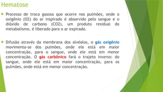 Hematose
 Processo de troca gasosa que ocorre nos pulmões, onde o
oxigênio (O2) do ar inspirado é absorvido pelo sangue e o
dióxido de carbono (CO2), um produto residual do
metabolismo, é liberado para o ar expirado.
 Difusão através da membrana dos alvéolos, o gás oxigênio
movimenta-se dos pulmões, onde ele está em maior
concentração, para o sangue, onde ele está em menor
concentração. O gás carbônico fará o trajeto inverso: do
sangue, onde ele está em maior concentração, para os
pulmões, onde está em menor concentração.
 