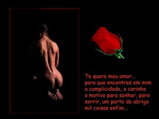 Te quero meu amor...
para que encontres em mim
a cumplicidade, o carinho
o motivo para sonhar, para
sorrir, um porto de abrigo
mil coisas enfim...
 