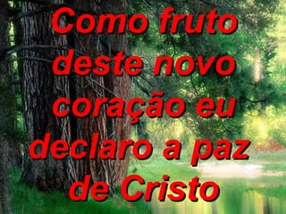 Como fruto deste novo coração eu declaro a paz  de Cristo 