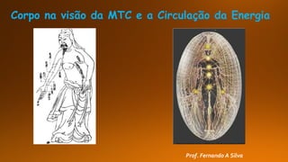 Corpo na visão da MTC e a Circulação da Energia
Prof. Fernando A Silva
 