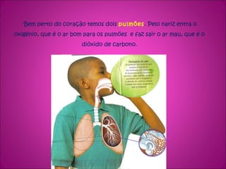 Bem perto do coração temos dois  pulmões . Pelo nariz entra o oxigénio, que é o ar bom para os pulmões  e faz sair o ar mau, que é o dióxido de carbono. 