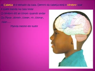 A  Cabeça  é o telhado da casa. Dentro da cabeça está o  cérebro , que é quem manda na casa toda! O cérebro diz ao corpo: quando andar Ou Parar, dormir, comer, rir, chorar, falar..... Manda mesmo em tudo! 