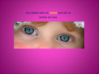 Na cabeça tens os  olhos  que são as janelas da casa. 