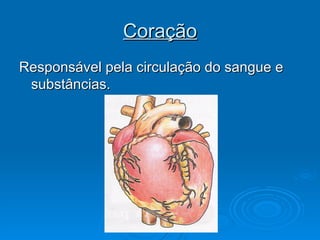 Coração Responsável pela circulação do sangue e substâncias. 