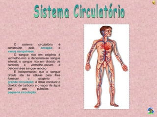 Sistema Circulatório O sistema circulatório é constituído pelo  coração  e  vasos sanguíneos . O sangue rico em oxigénio é vermelho-vivo e denomina-se sangue arterial; o sangue rico em dióxido de carbono é vermelho-escuro e denomina-se sangue venoso. É indispensável que o sangue circule até às células para lhes fornecer o oxigénio –  grande circulação ; e delas conduzir o dióxido de carbono e o vapor de água até aos pulmões –  pequena circulação . 